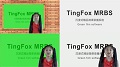 虚拟绿幕系统